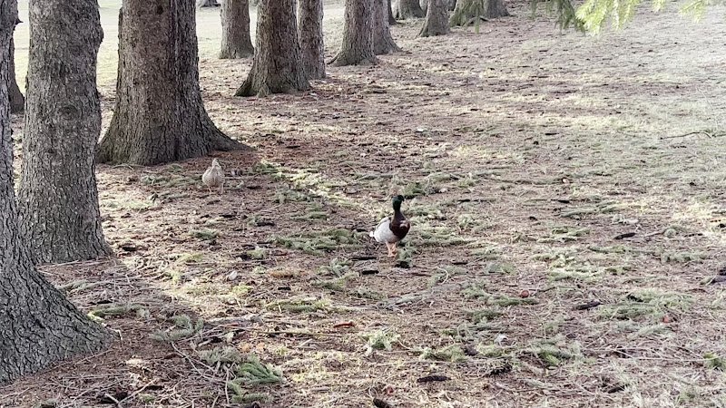 Twining Park - Image 2