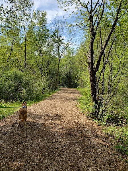Valley View Park - Image 3