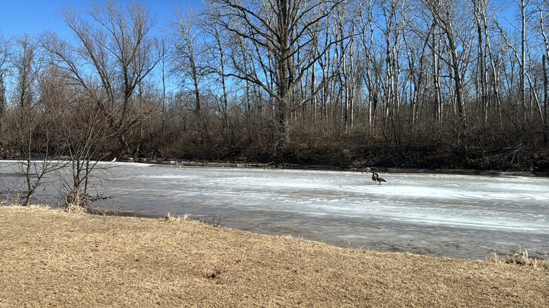 Rochester Park thumbnail