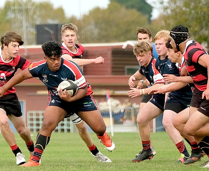School rugby numbers strong