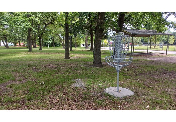 Disc golf fever set to hit Tinwald Disc golf fever set to hit Tinwald