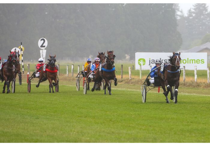 Stars shine on the grass at Methven