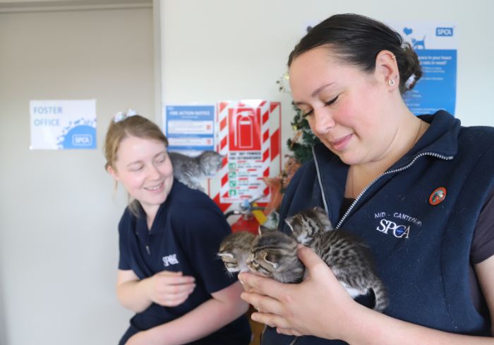 SPCA has its hands full SPCA has its hands full