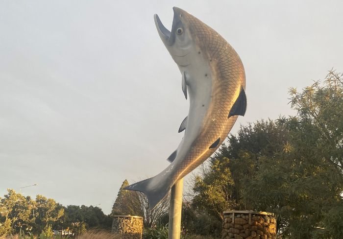 Scaling up: Rakaia's Salmon statue needs a makeover