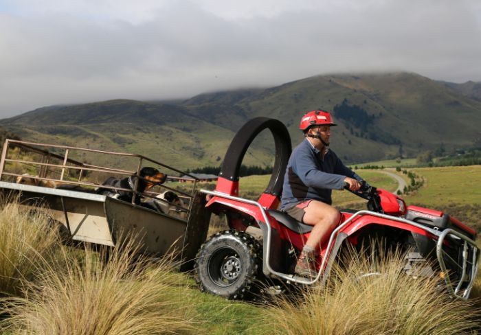 New initiative to boost quad bike safety