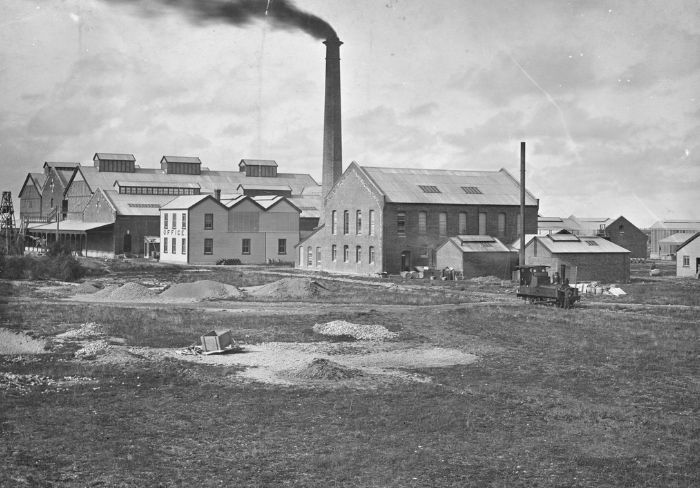 From tussock to transport hub