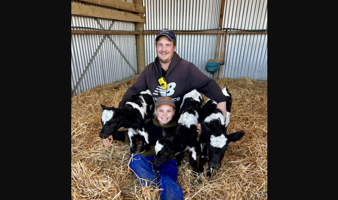 Rare heifer triplets thriving on Mid Canterbury farm