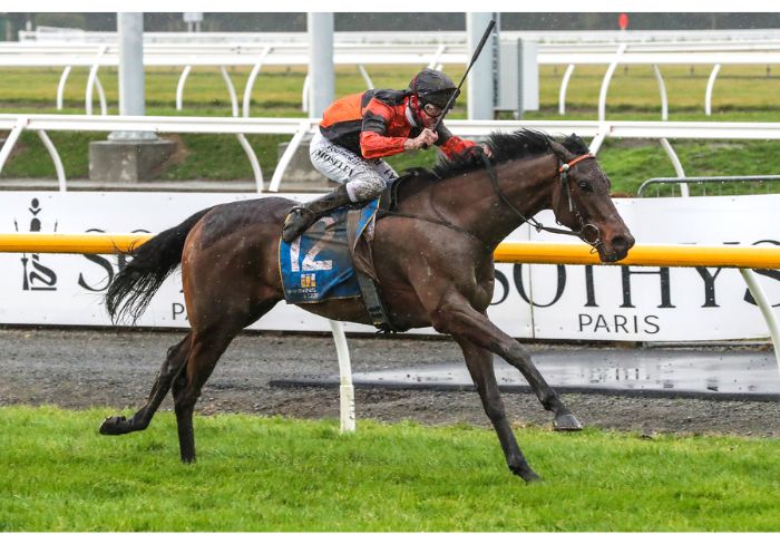 Local stable is near perfect at Riccarton