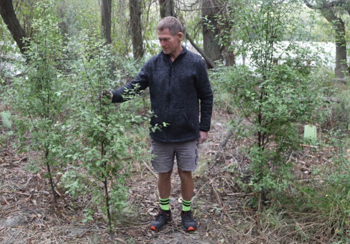 Native forest project nears completion