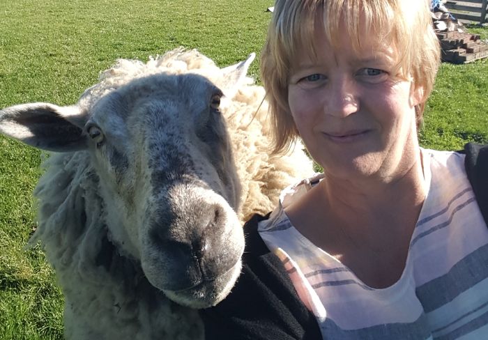 Iconic Methven Sheep dies