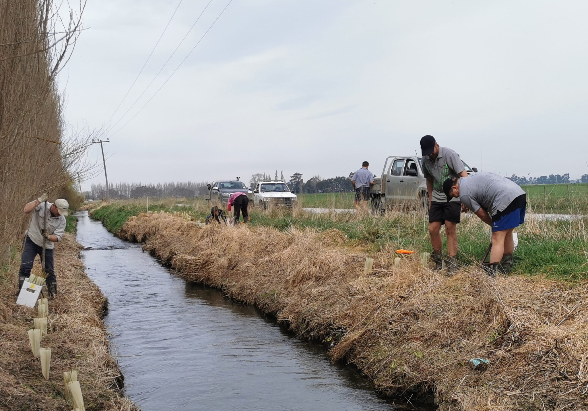 Green project meets key targets