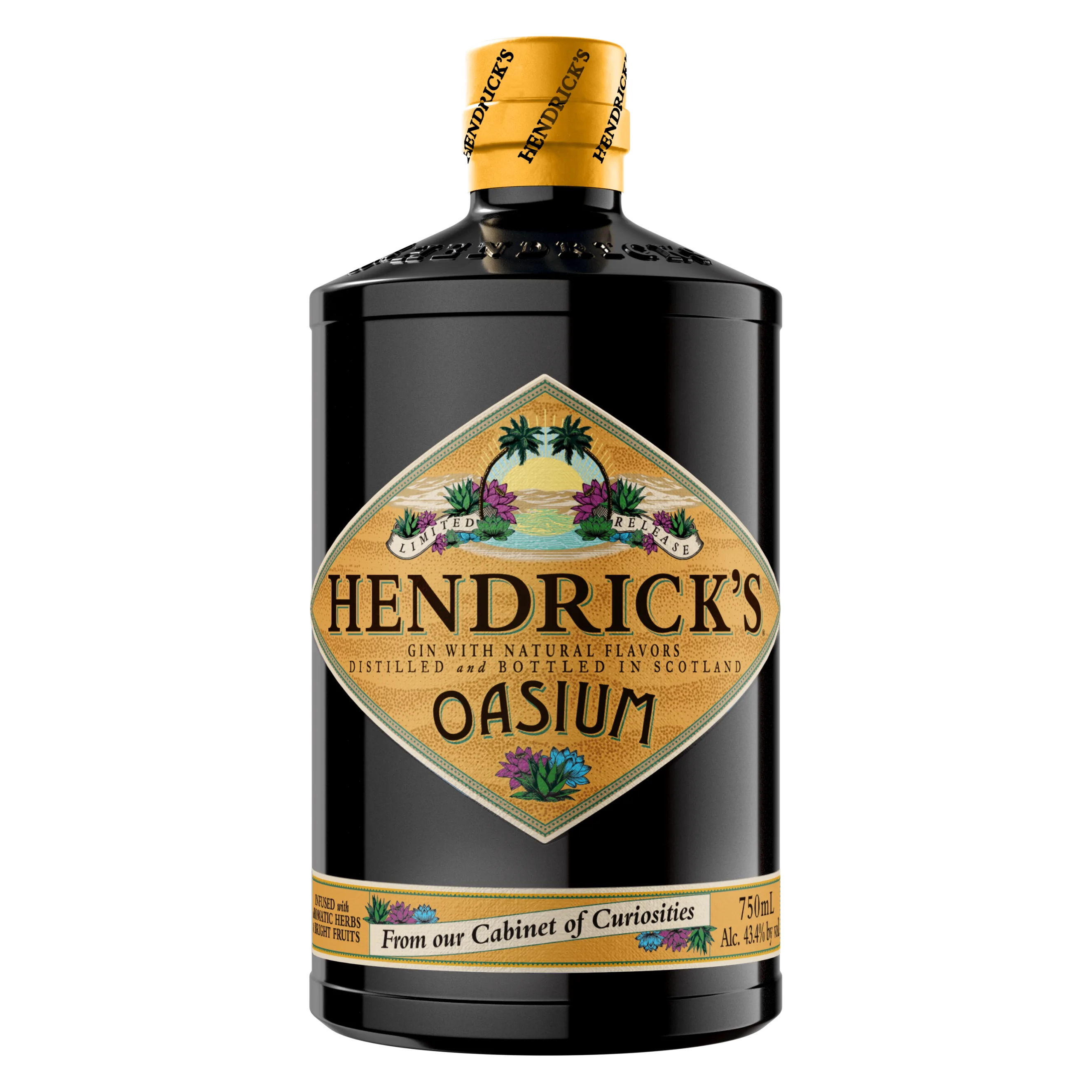 Hendricks Cabinet of Curiosities Oasium