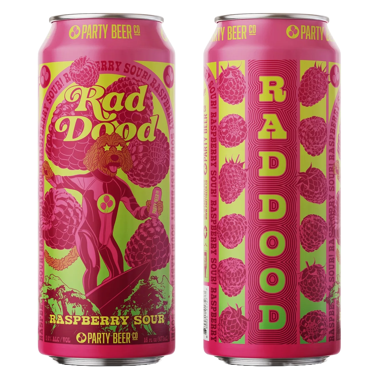 Party Beer Rad Dood Sour 4pk 16oz Can 5% ABV