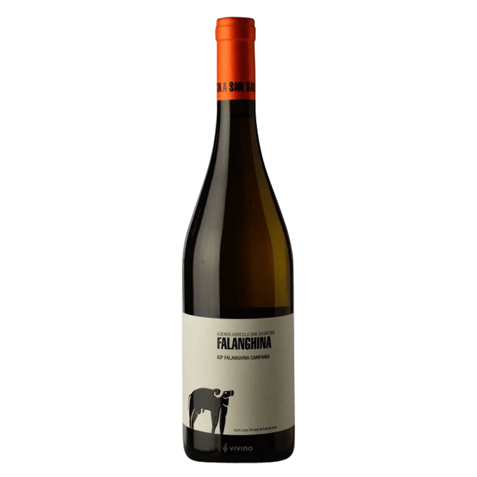 San Salvatore Falanghna