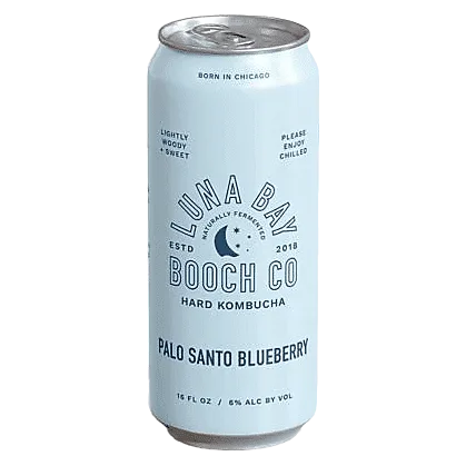 Luna Bay Hard Kombucha Blueberry Fizz Single 16oz Can