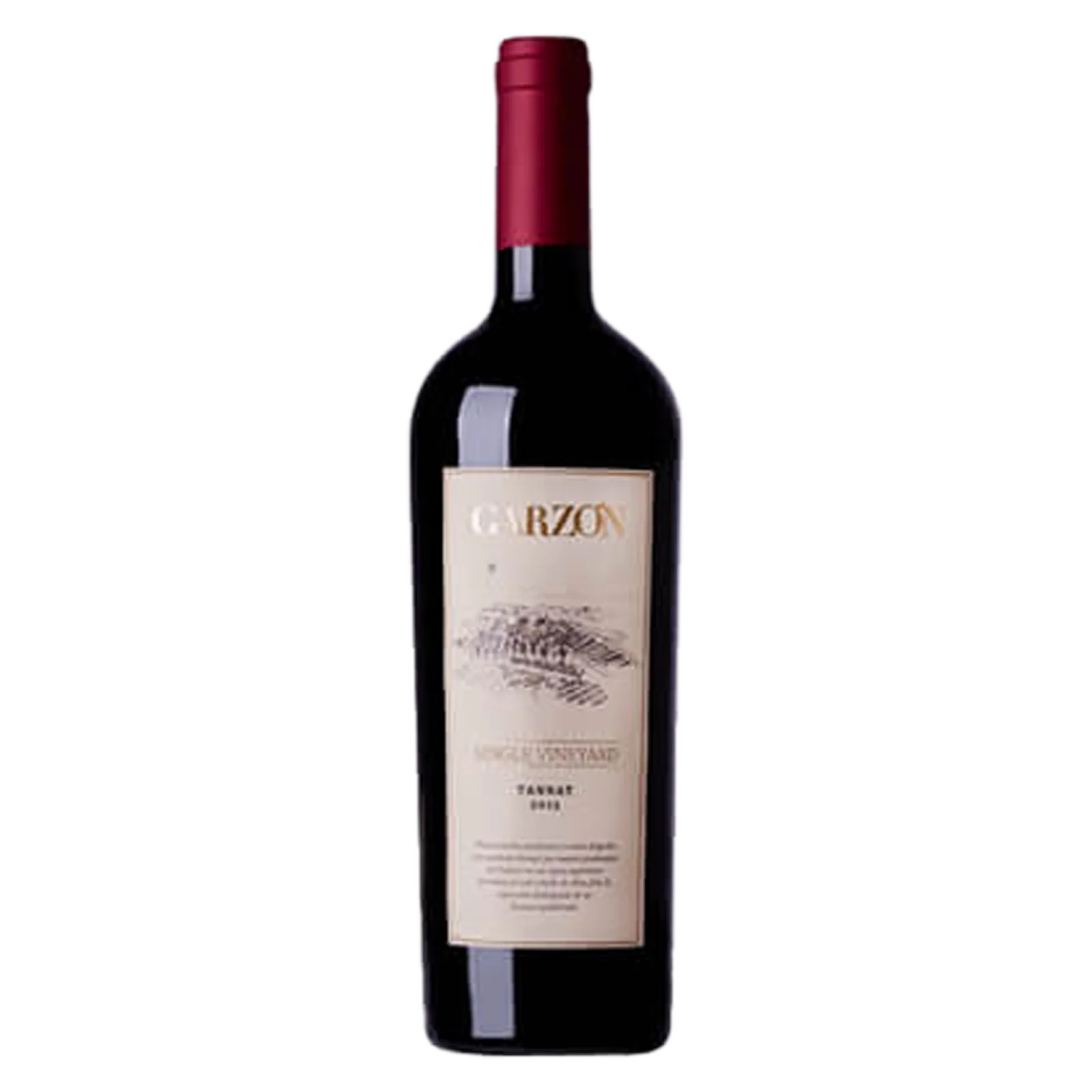 Garzon Single Vineyard Tannat 2018