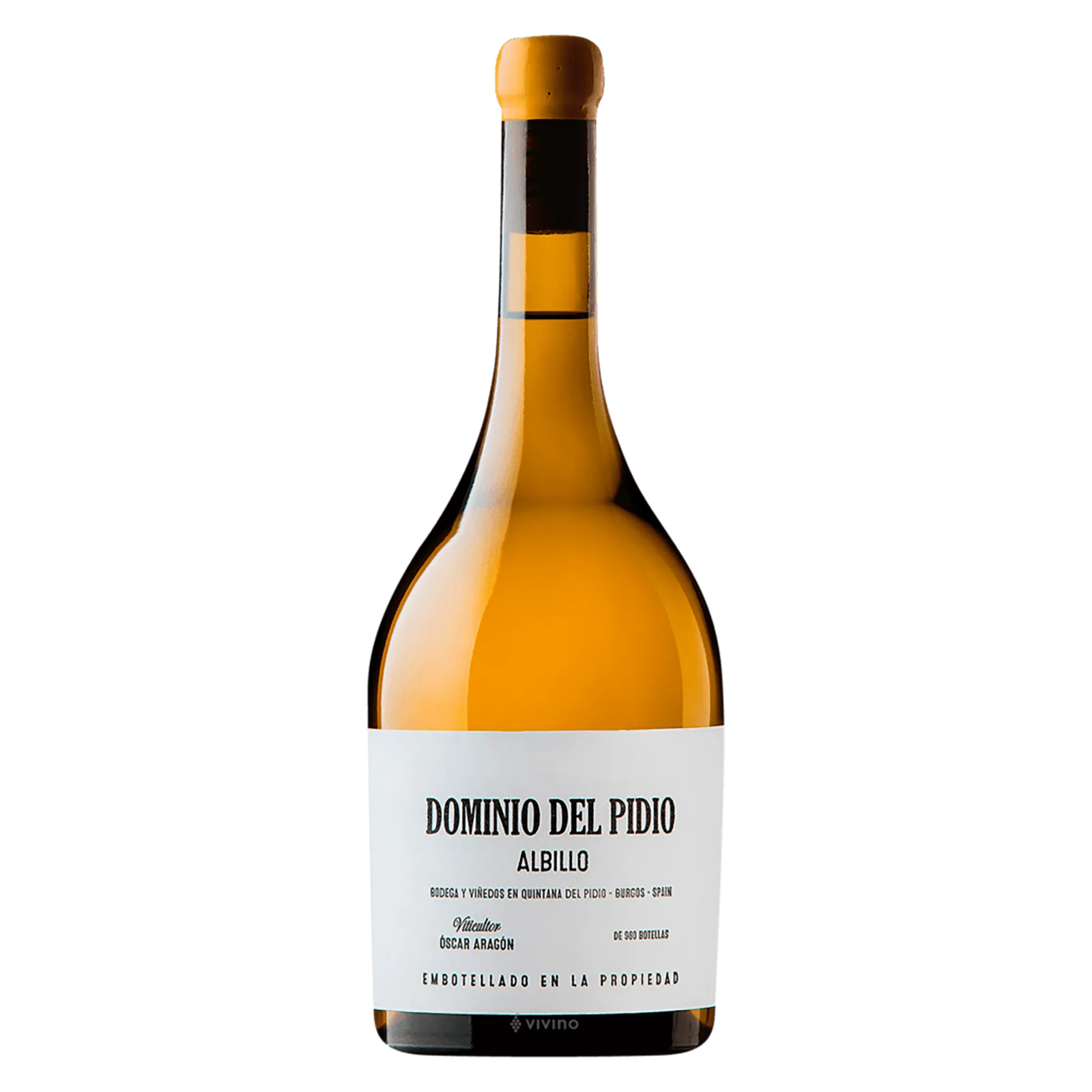 Dominio del Pidio Albil 18