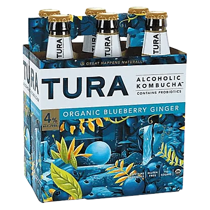 Tura Kombucha Blueberry Ginger 6pk 12oz Btl
