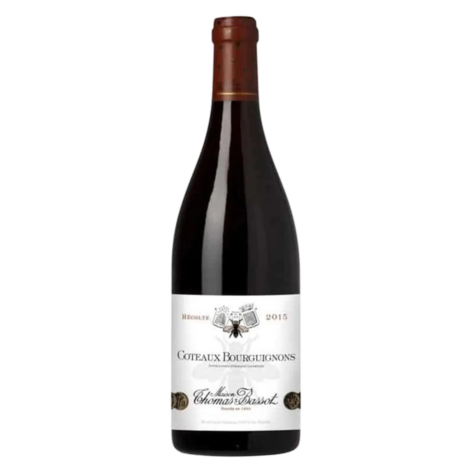 Thomas Bassot Coteaux Bourguig