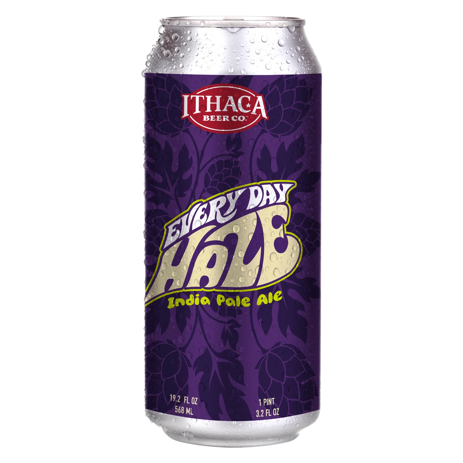 Ithaca Beer Company Every Day Haze IPA 19.2oz Can 6.6% ABV