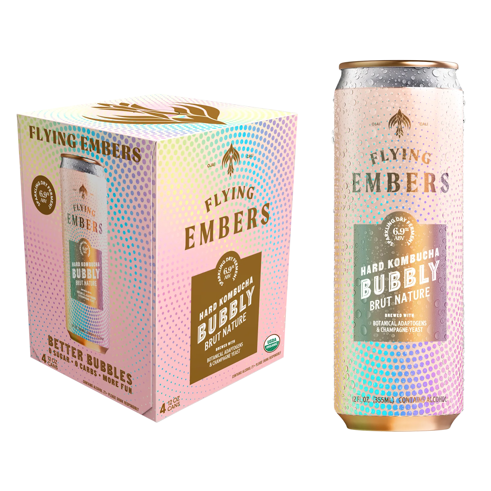 Flying Embers Bubbly Hard Kombucha 4pk 12oz 6.9% ABV