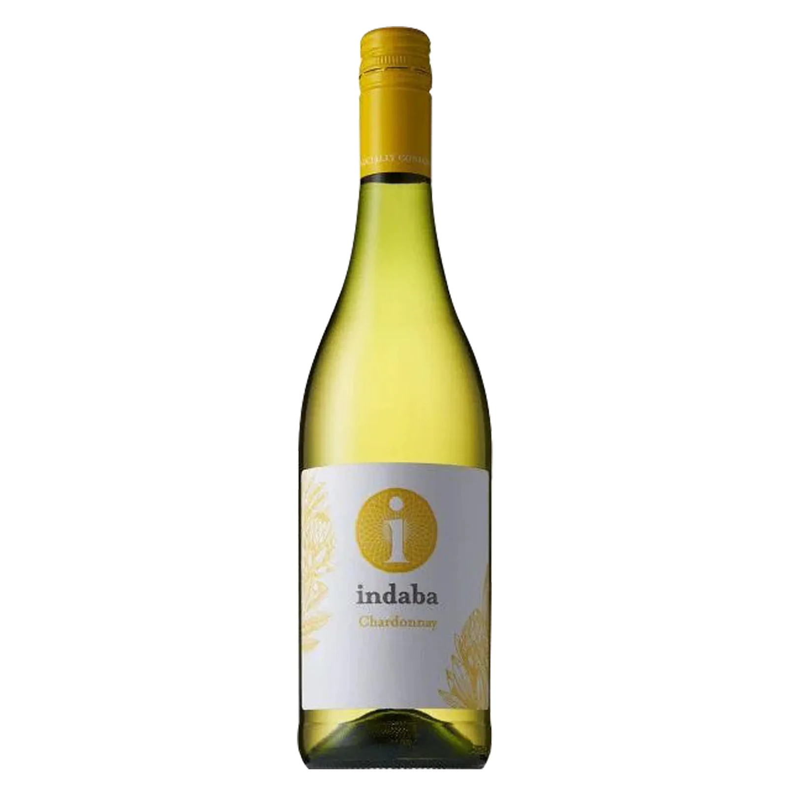 Indaba Chardonnay