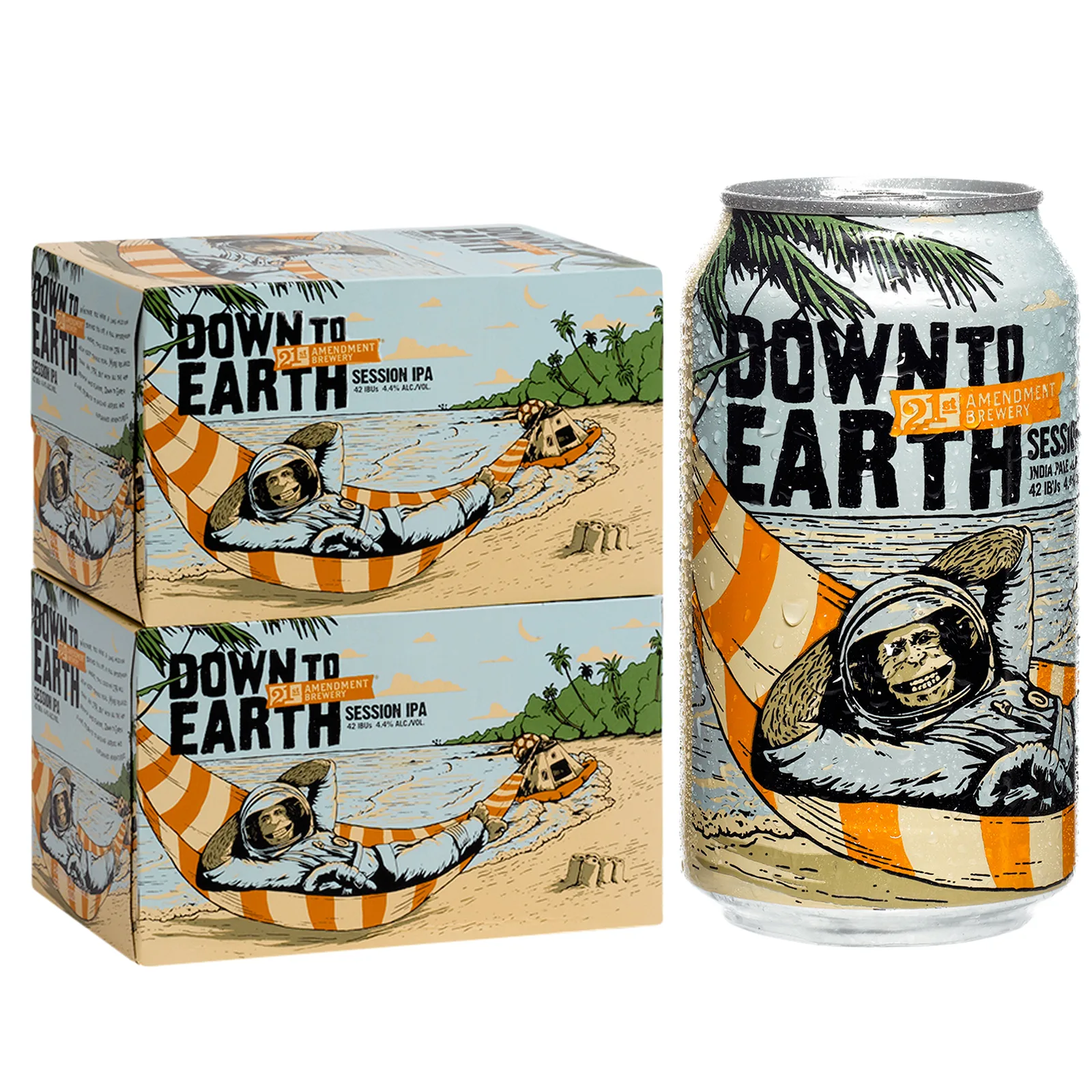 21st Amendment Down to Earth 6 Pack Cans