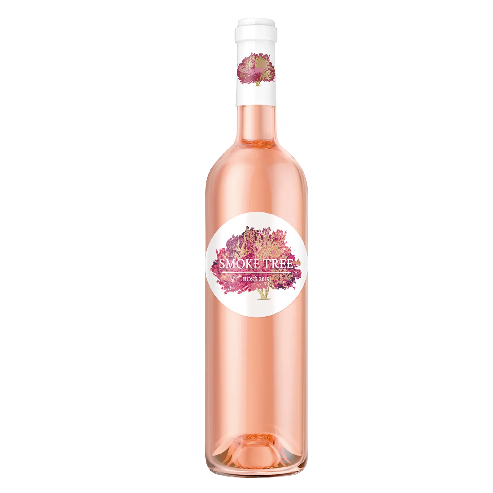 Smoke Tree Rose 2019