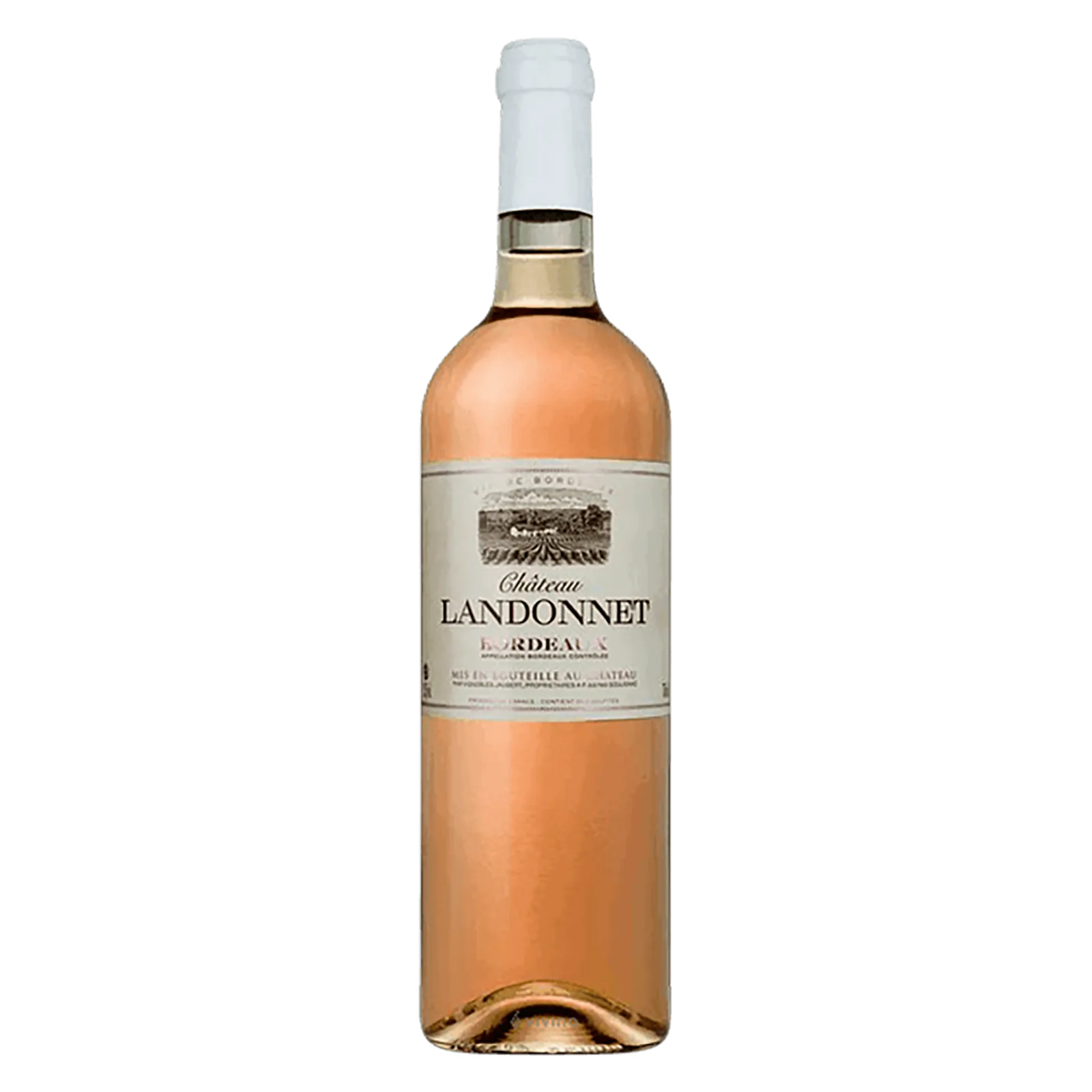 Vanguard Rose Of Bordeaux 2019