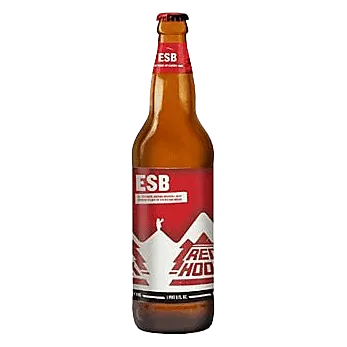 Redhook ESB (22 OZ BTL