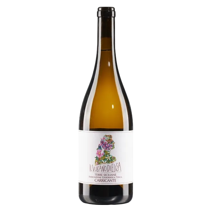 Il Vulcano di Elisa Caricante