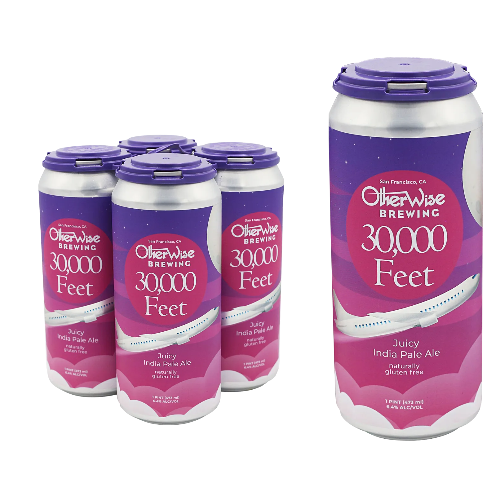 Otherwise Brewing Seasonal Gluten Free 4pk 16oz Cans