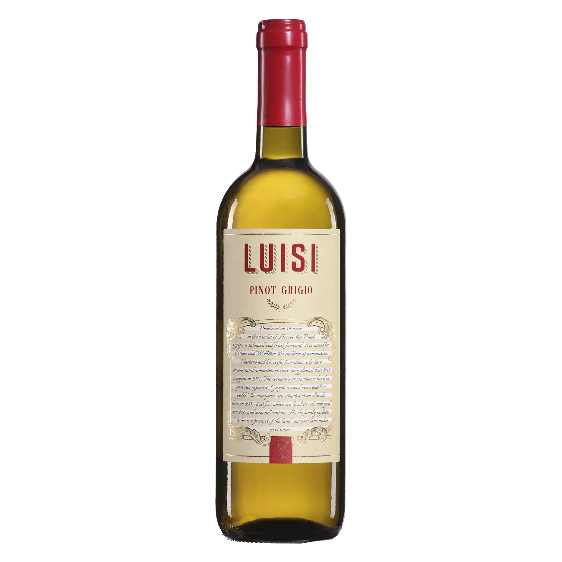 Luisi Pinot Grigio