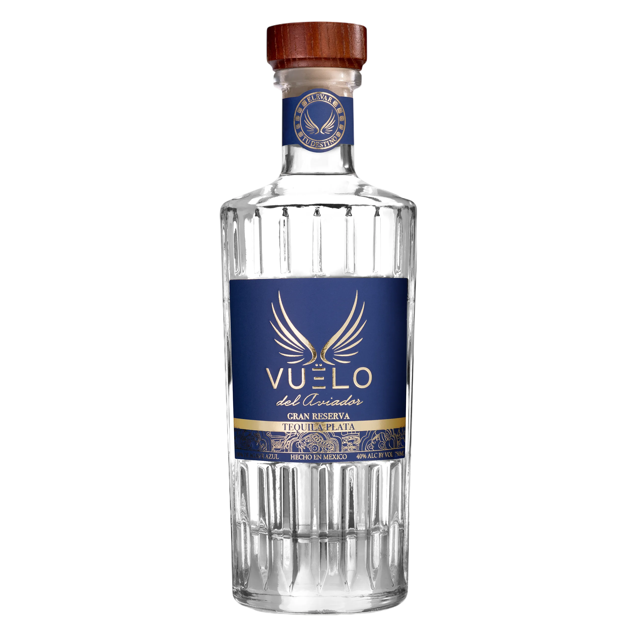 Blach Vuelo Del Aviador Plata