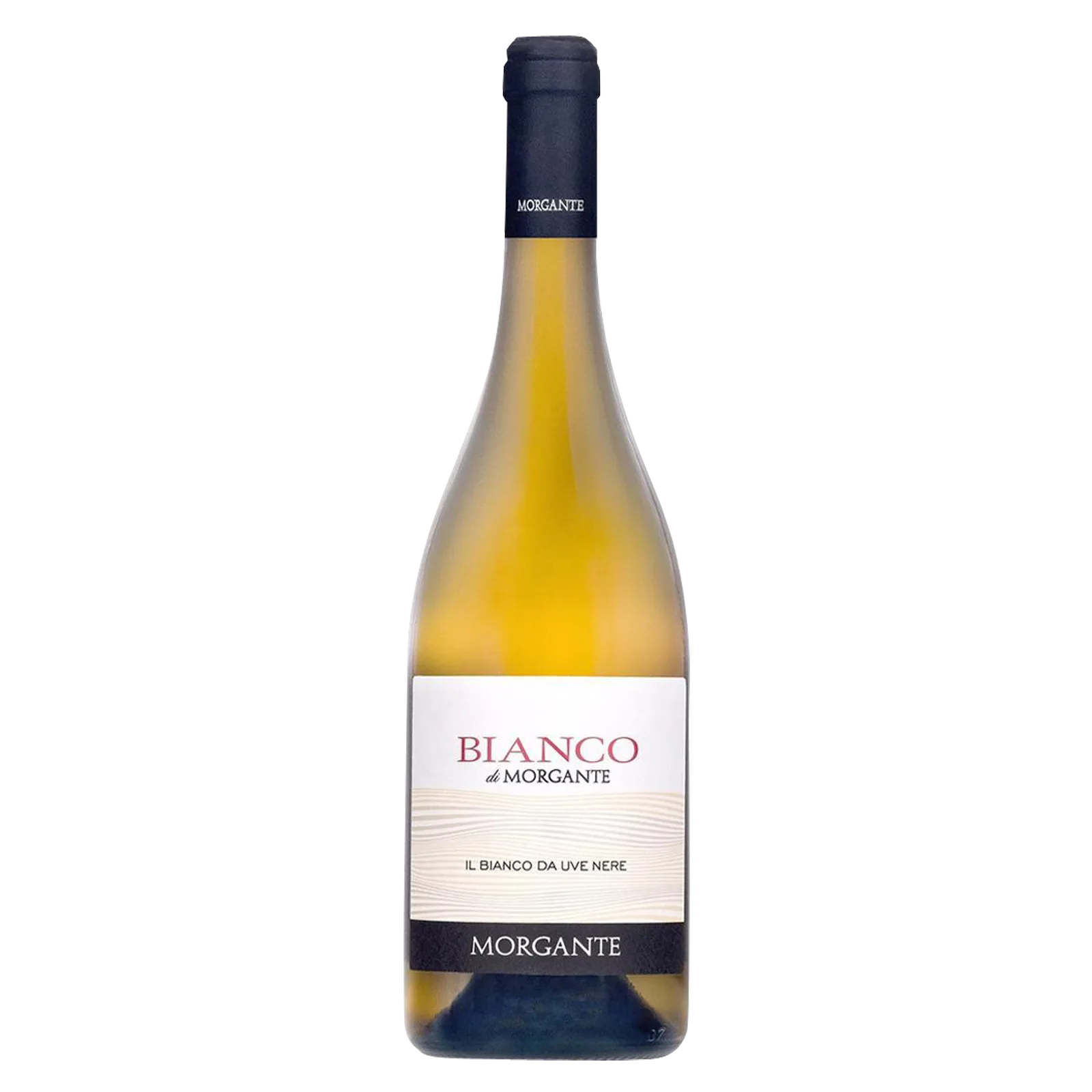 Morgante Bianco 2021