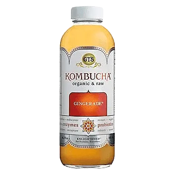 GT's Classic Kombucha Gingerade Single 16oz Btl