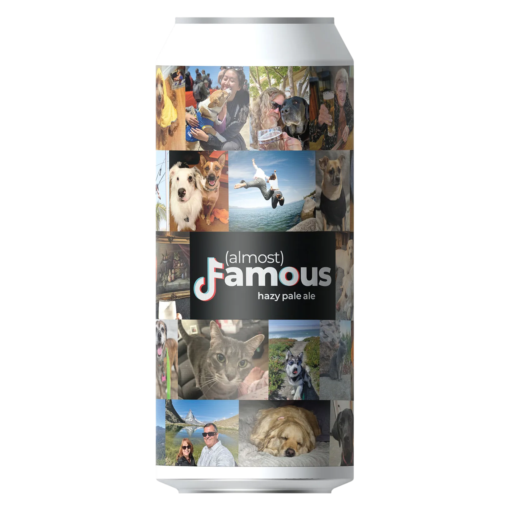 Devil's Canyon Seasonal 4pk 16oz Can