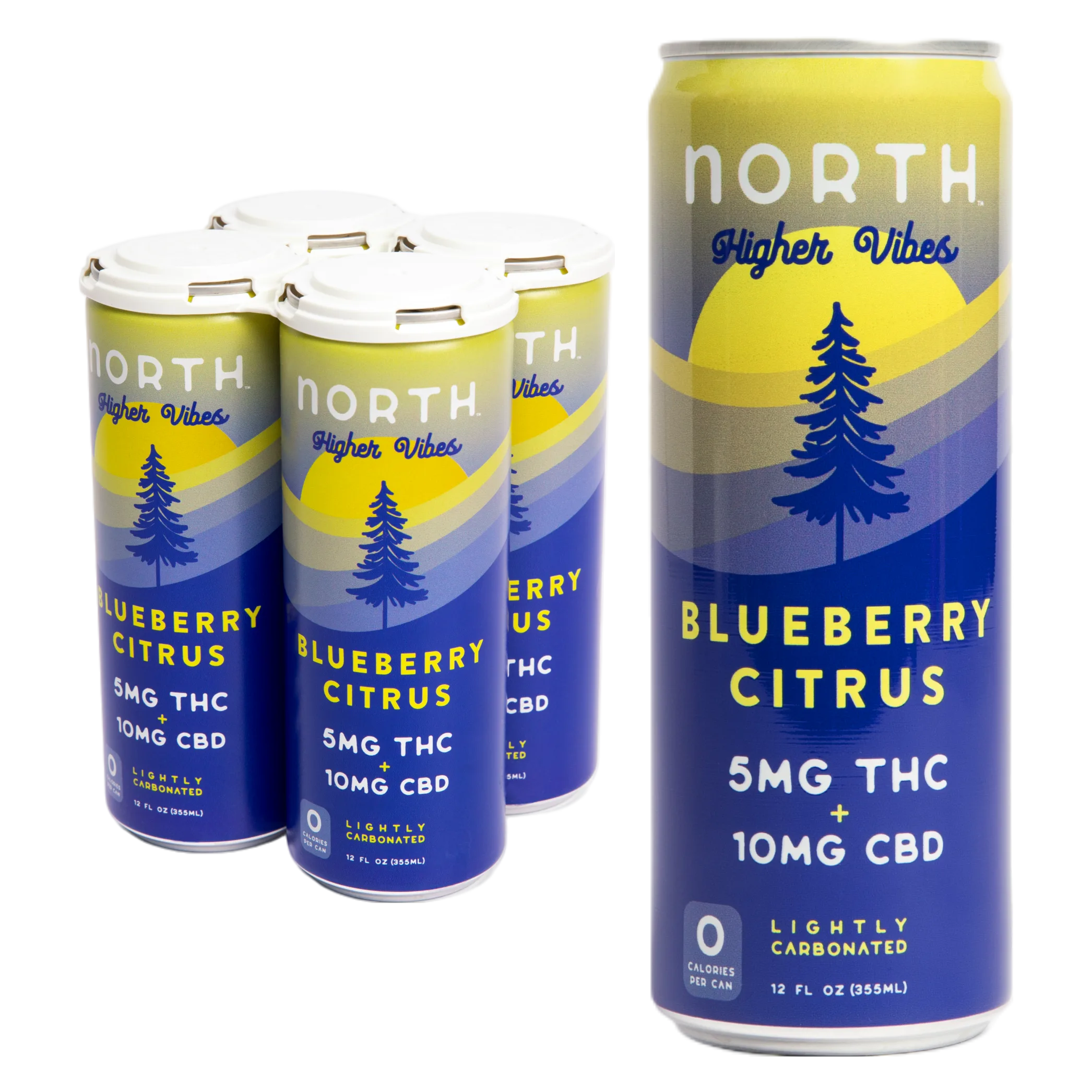 Higher Vibes 5mg THC Blueberry Citrus Seltzer 4pk Can