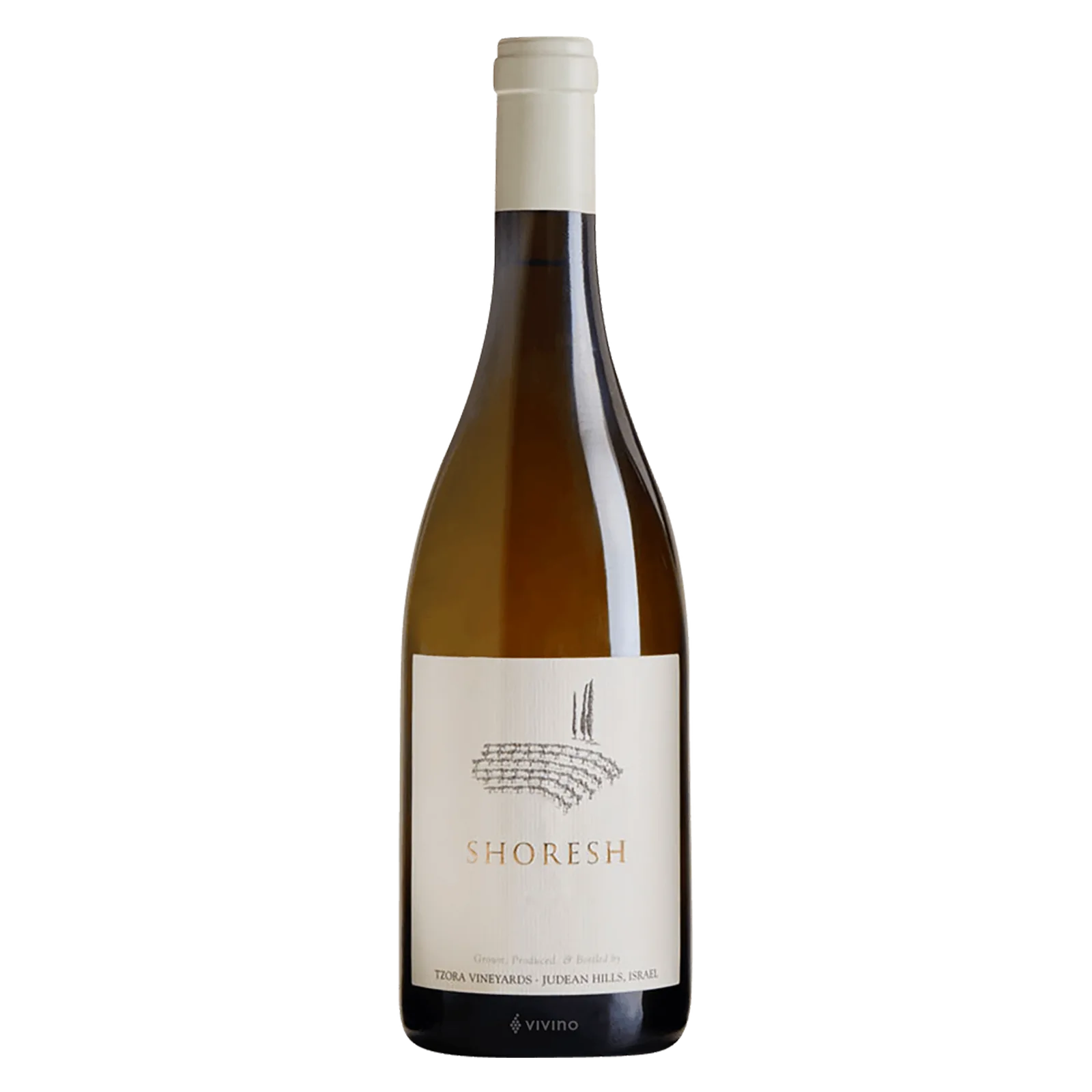 Tzora Shoresh Blanc 17/18