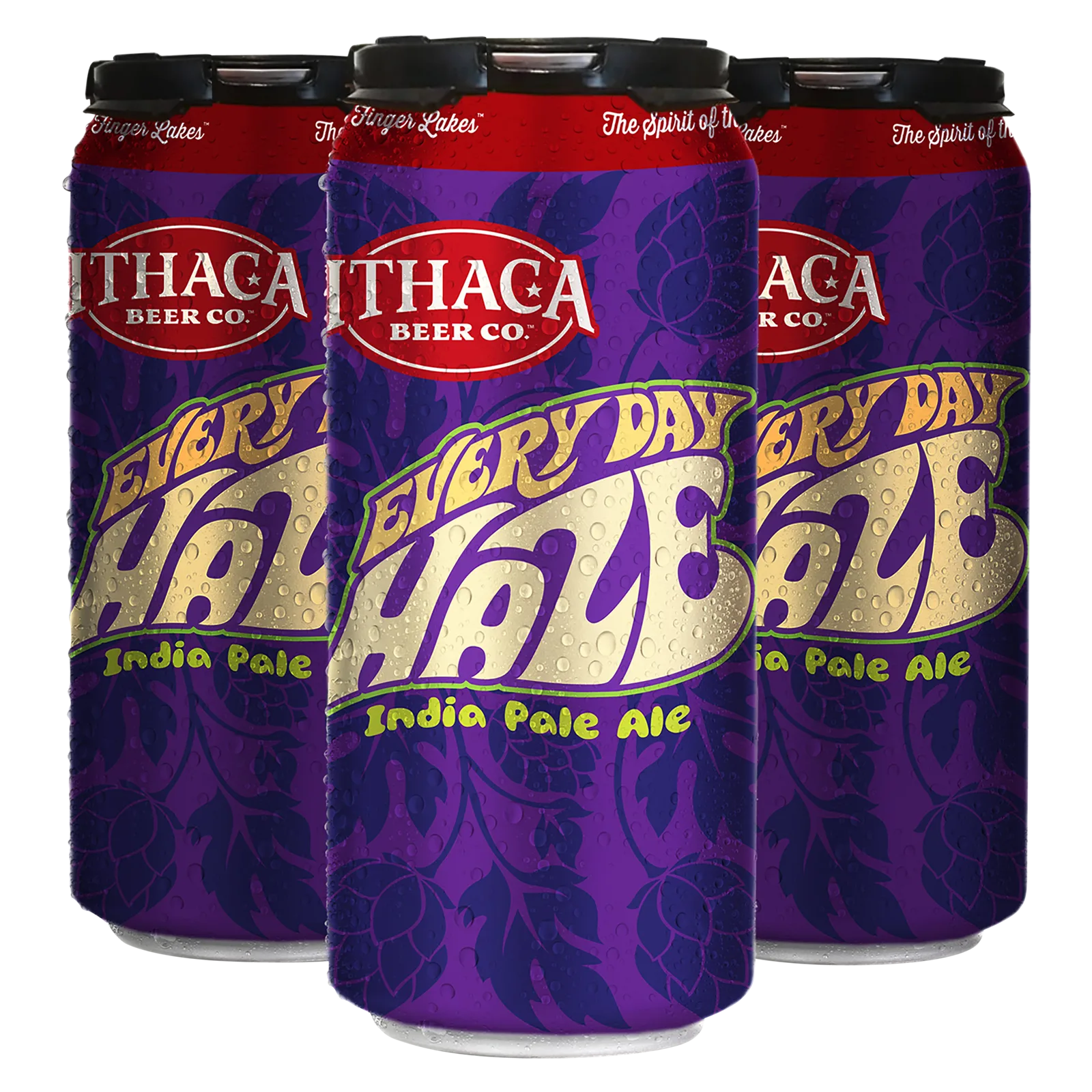 Ithaca Beer Company Every Day Haze IPA 4pk 16oz Can 6.6% ABV