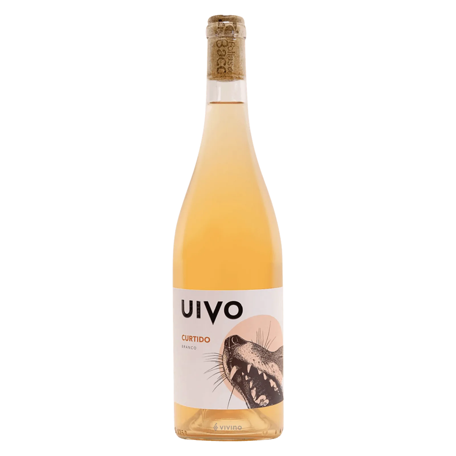 Folias De Baco Curtido 2020