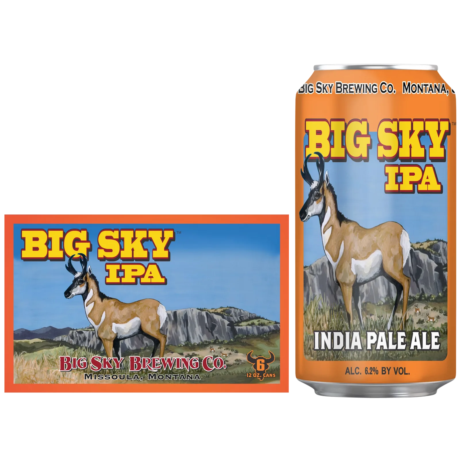 Big Sky IPA 6pk Can