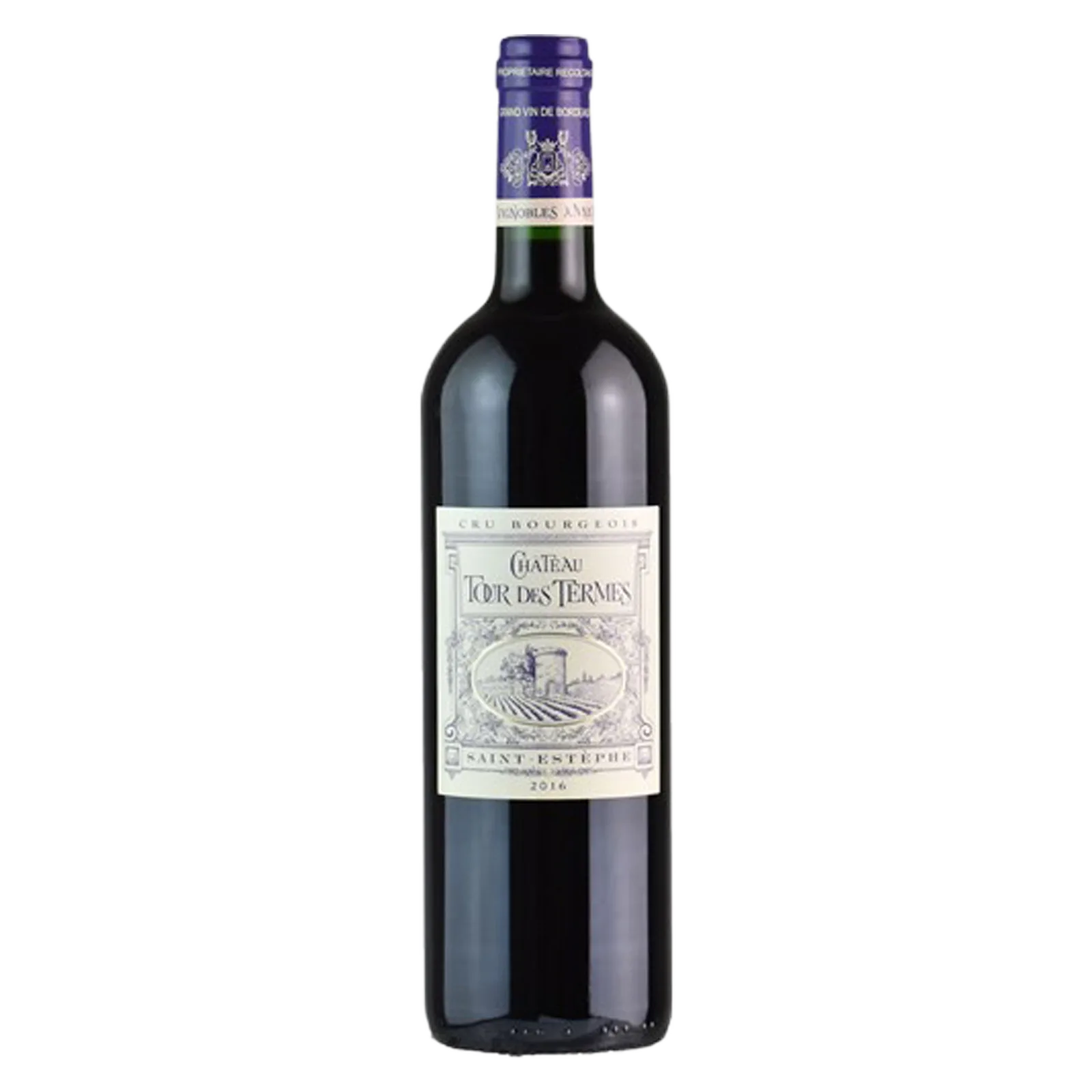 Chateau Tour des Termes Saint-Estephe