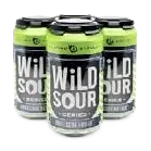 DESTIHL HERE GOSE NOTHIN 4PKC (4PKC