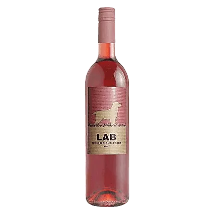 Casa Santos Lima Lab Rose