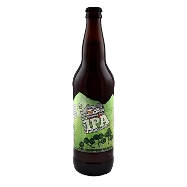 Two Beers Evo India Pale Ale (22 OZ BTL