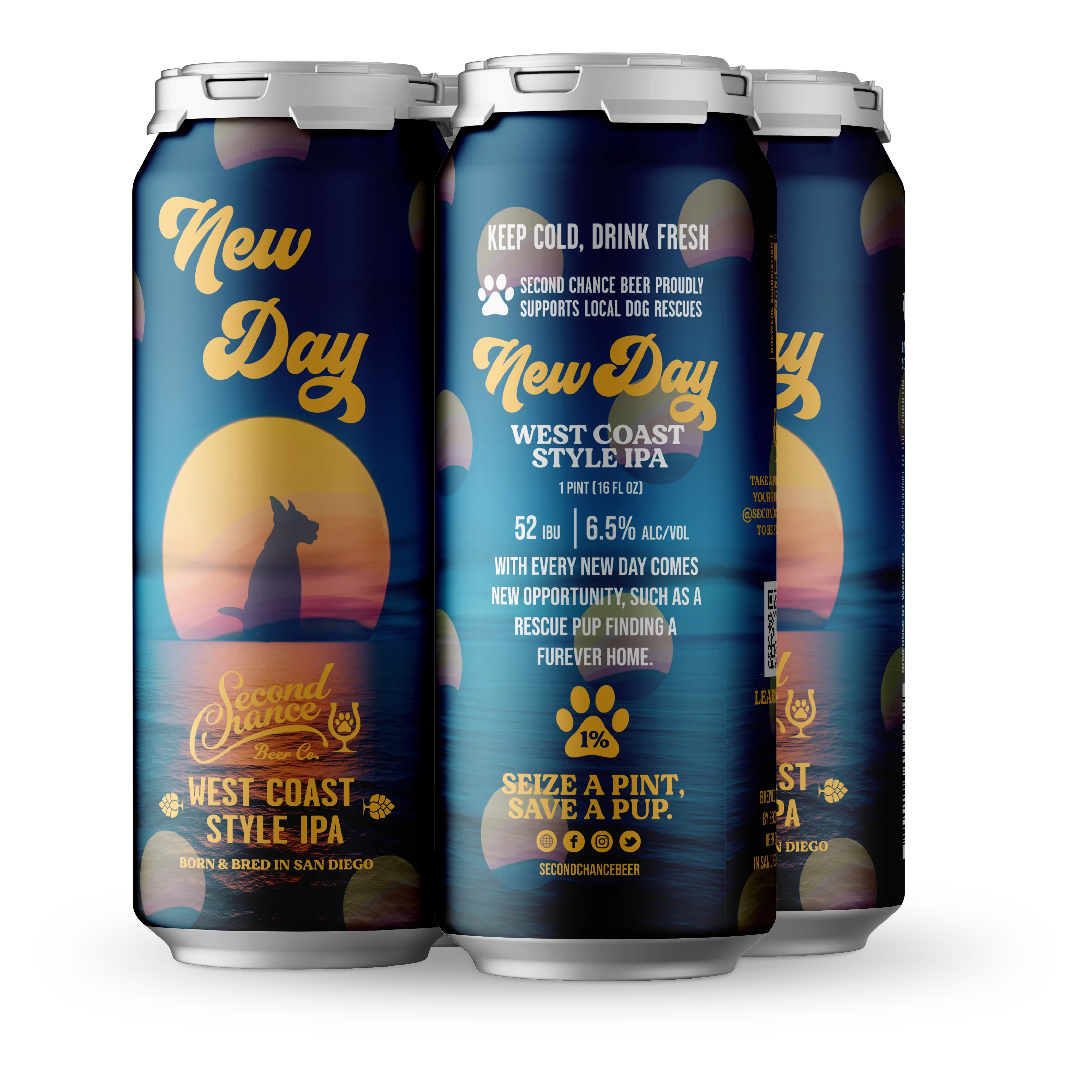 SECOND CHANCE NEW DAY IPA 4PKC (4PKC