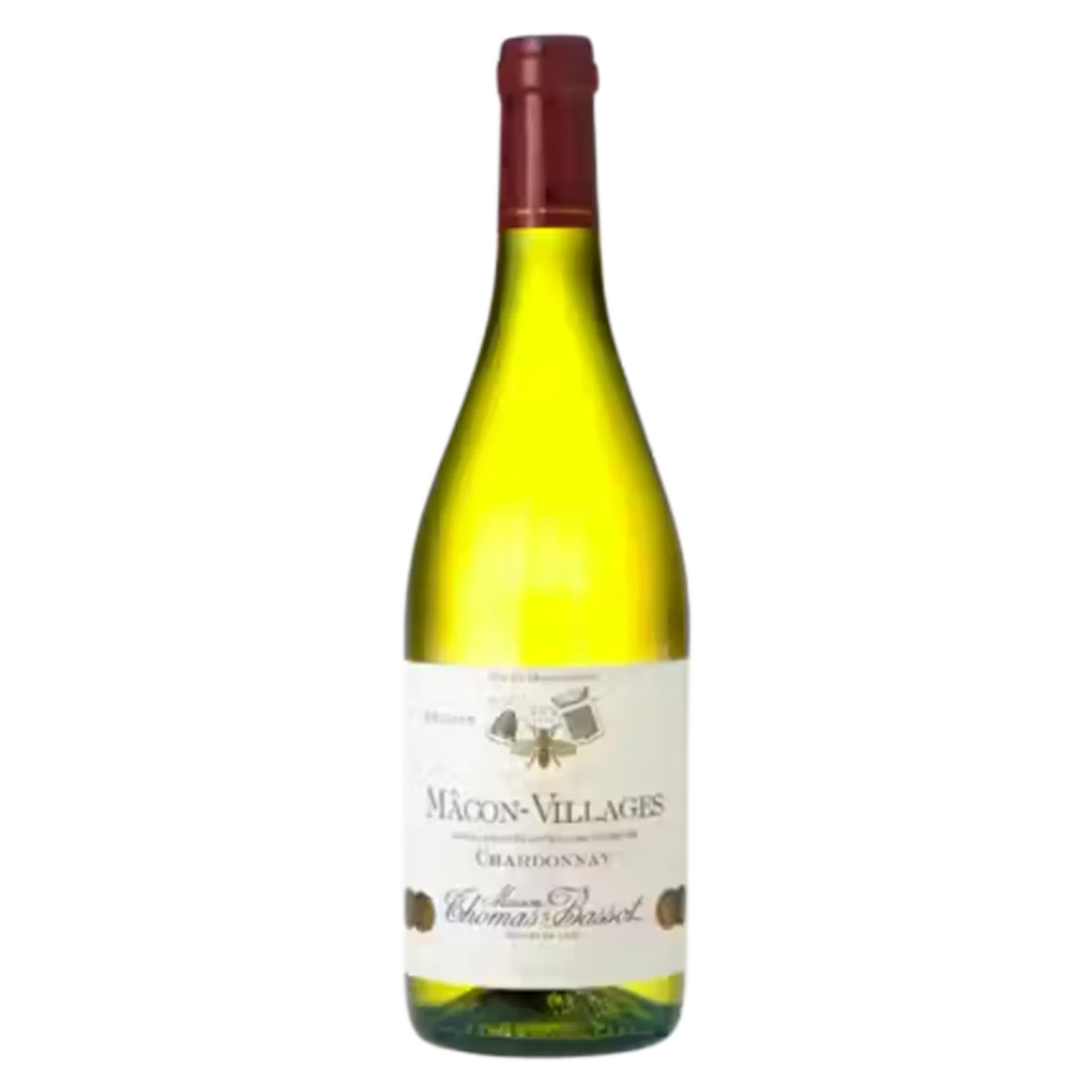 Thomas Bassot Macon-Villages