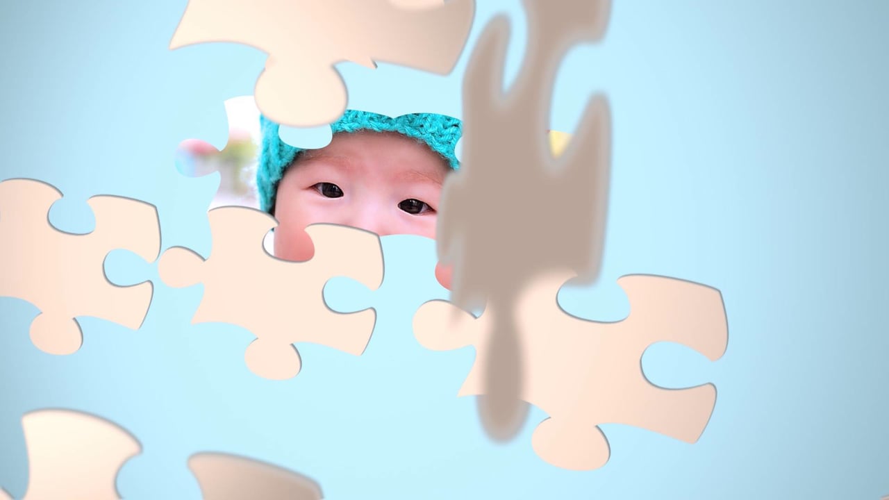 Jigsaw Puzzle