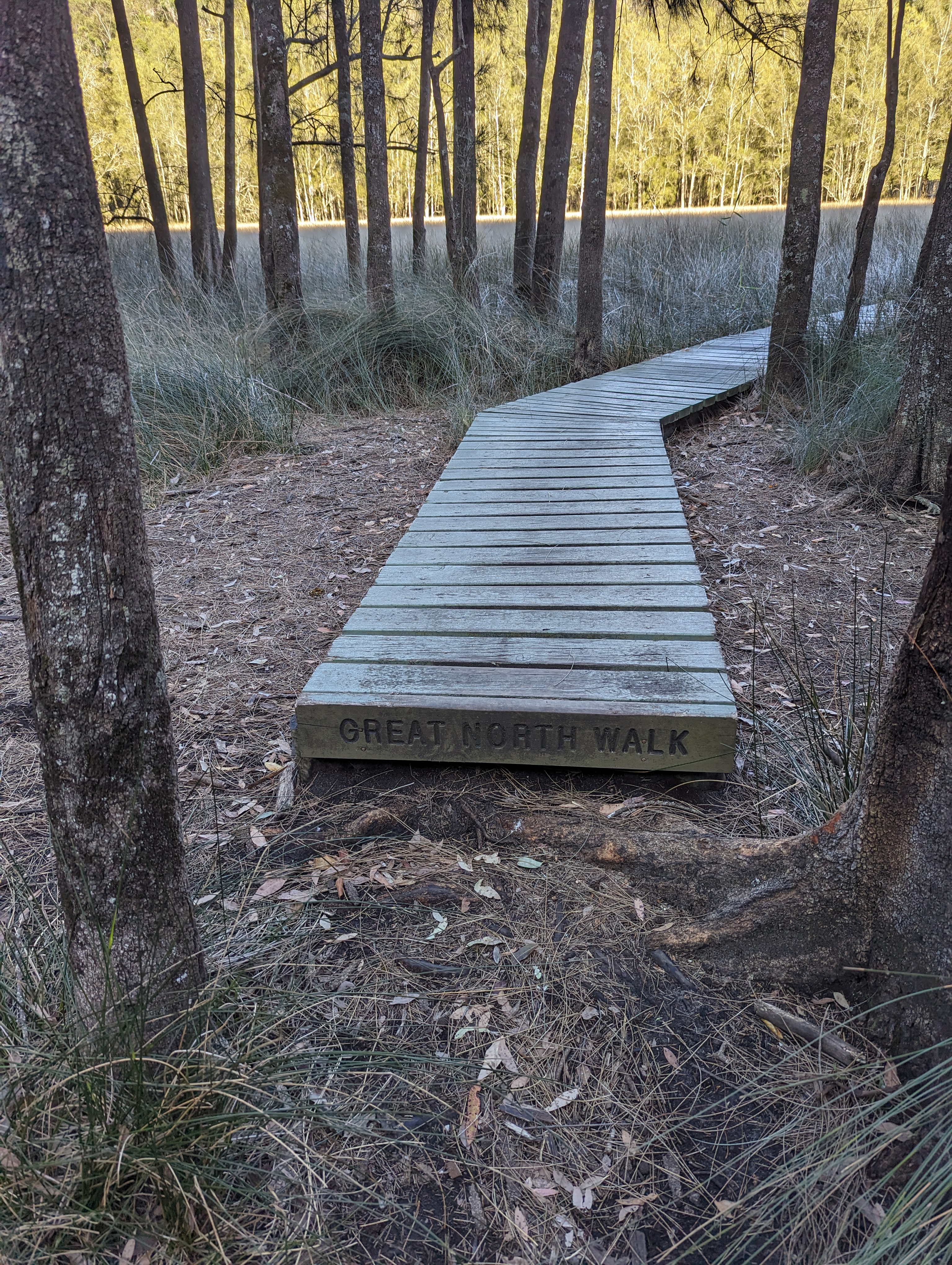 boardwalk
